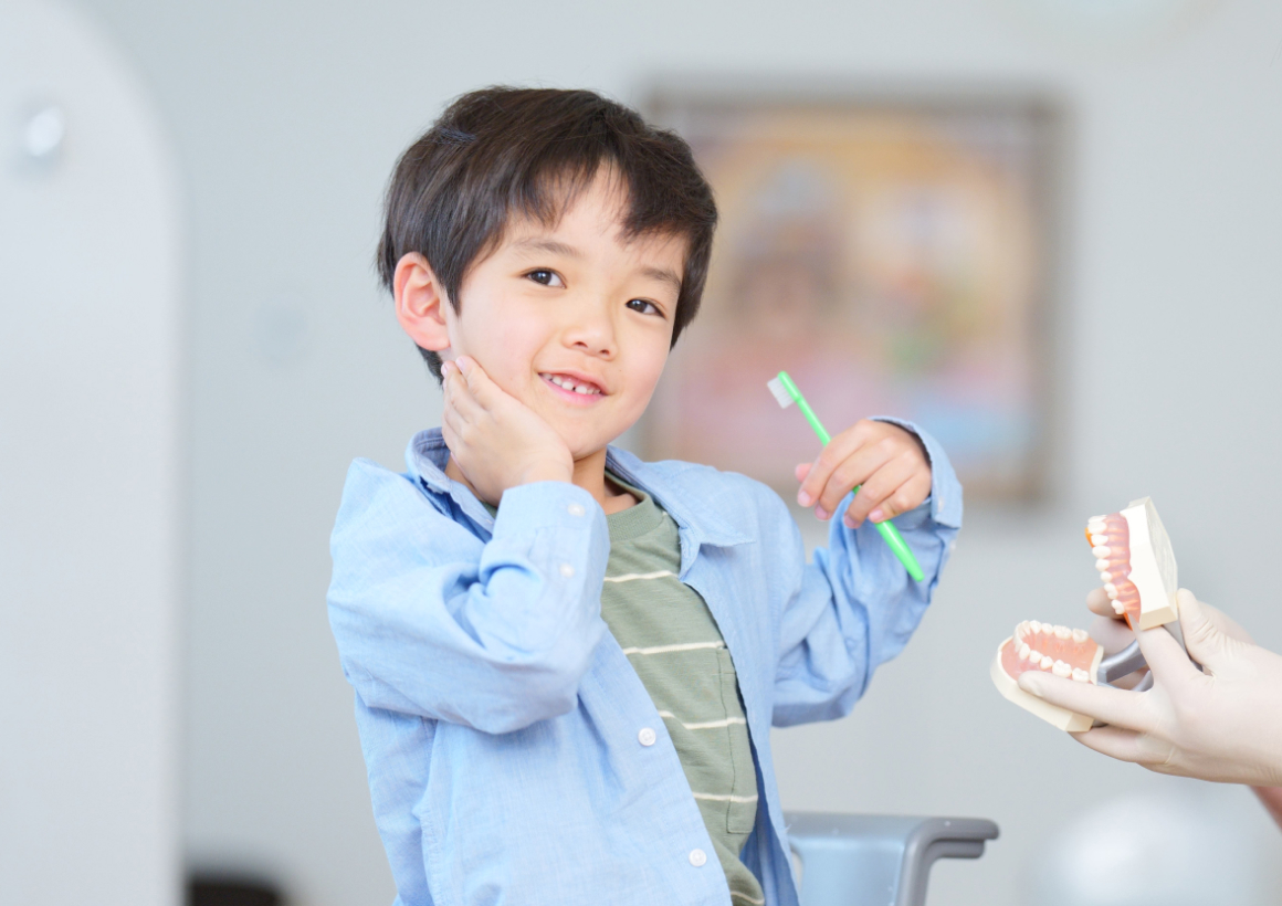 歯科医院で歯ブラシを持って笑う男の子と、歯の模型を示すスタッフの手元